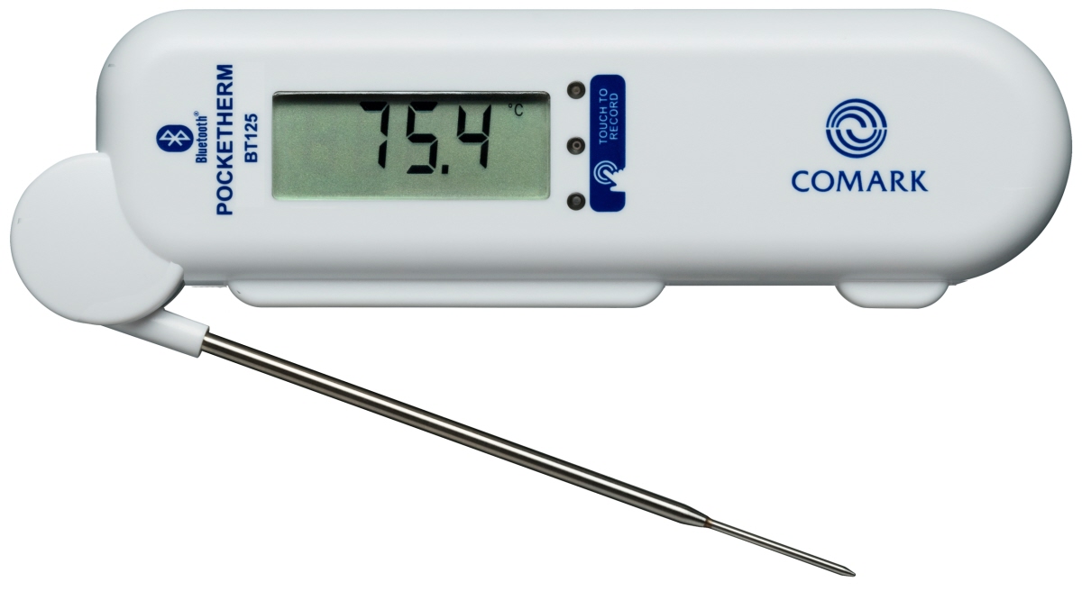 Einstichthermometer